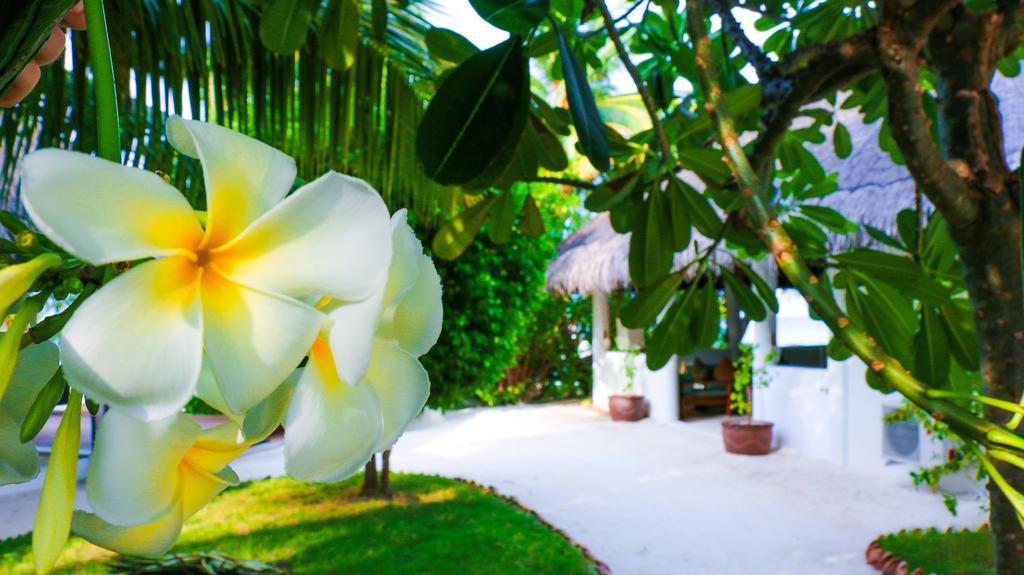 Vakarufalhi Maldives Dhangethi Exterior foto